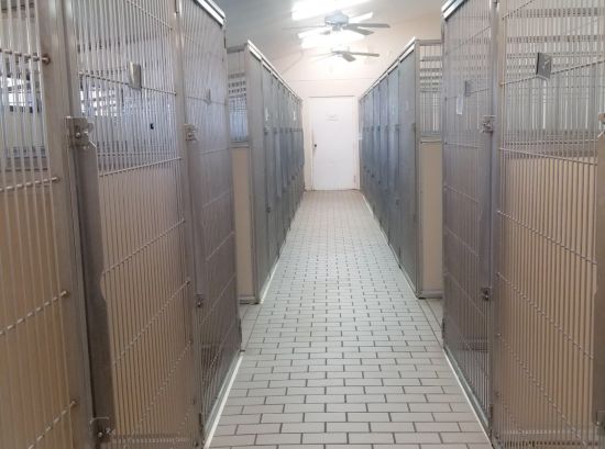 Dog Kennels