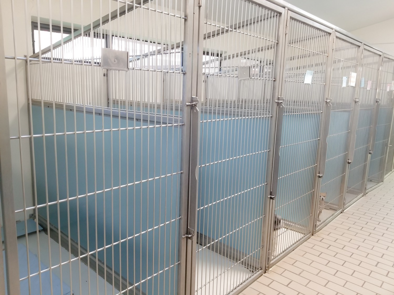 Dog Kennels