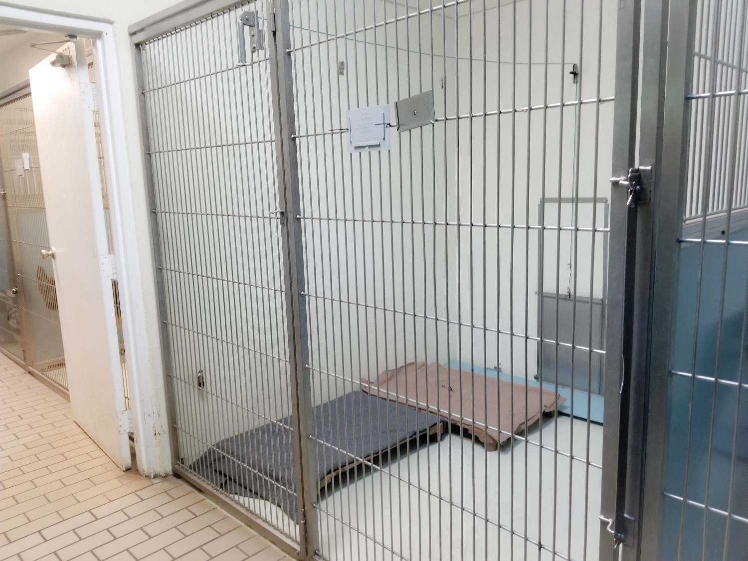 Dog Kennels